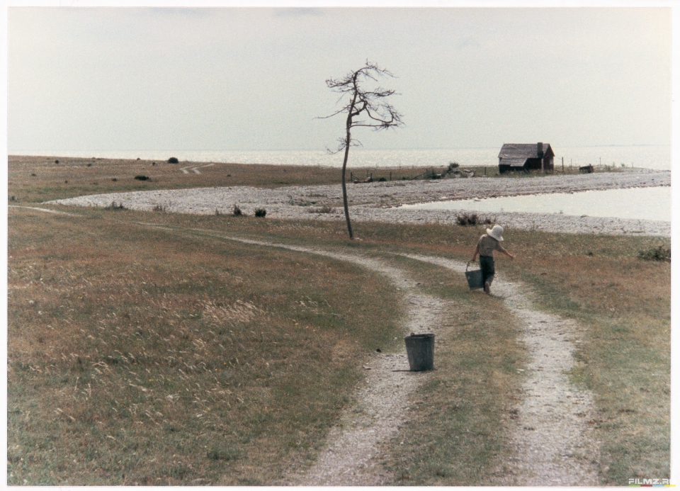 A boy carries a bucket on a winding path, with a bare tree, a small hut and the sea beyond